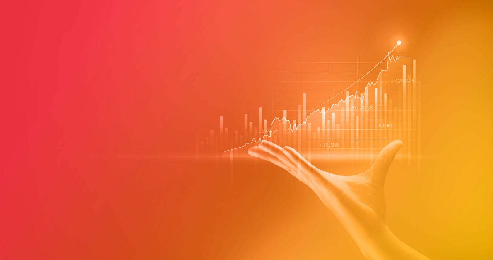 Finance Officer : Mastering the Art of Financial Management