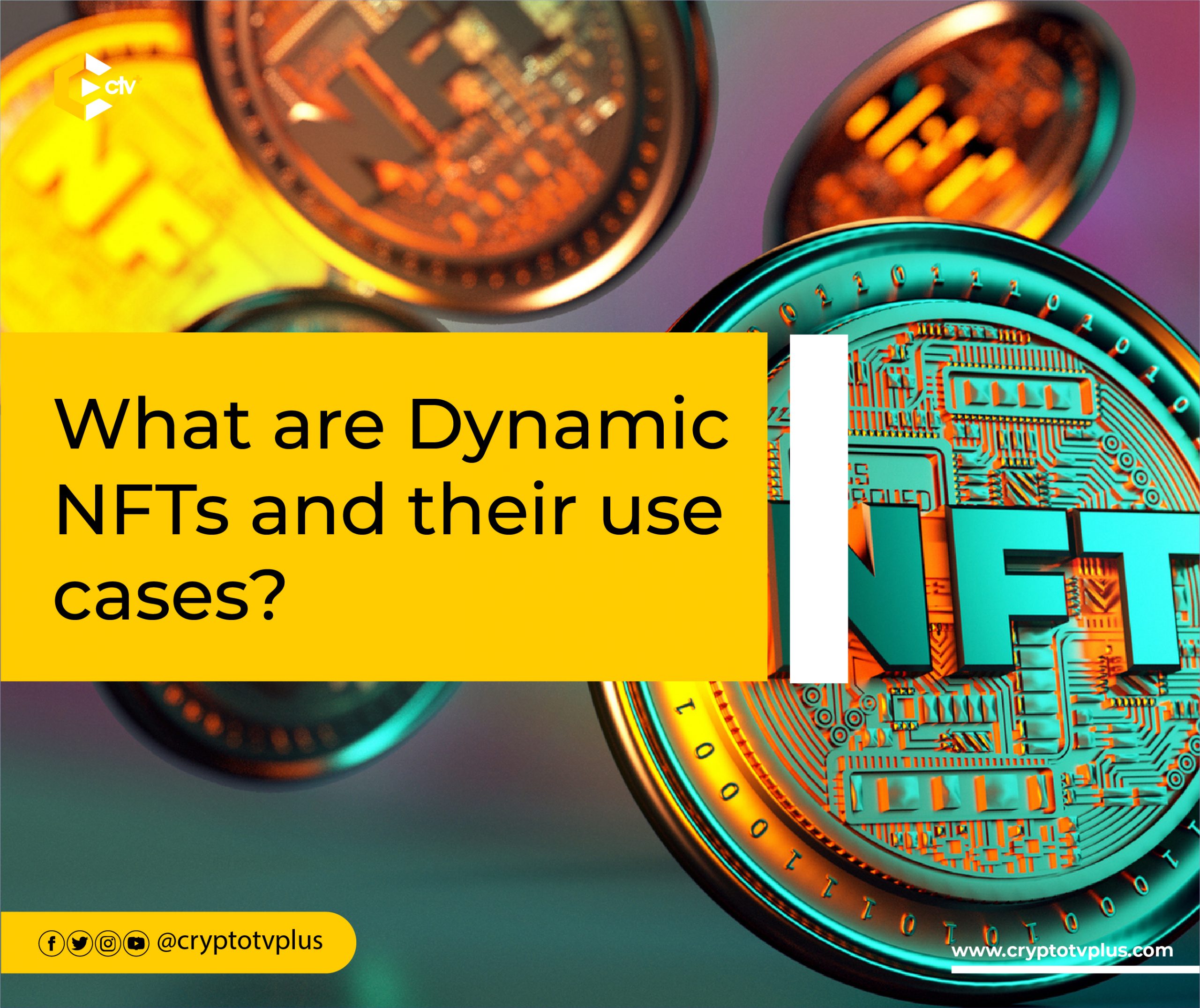 Reef Crypto: Unleashing the Power of NFTs – Easy Dollars Now